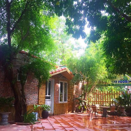 Tam Coc Green Fields Homestay Νιν Μπιν Εξωτερικό φωτογραφία